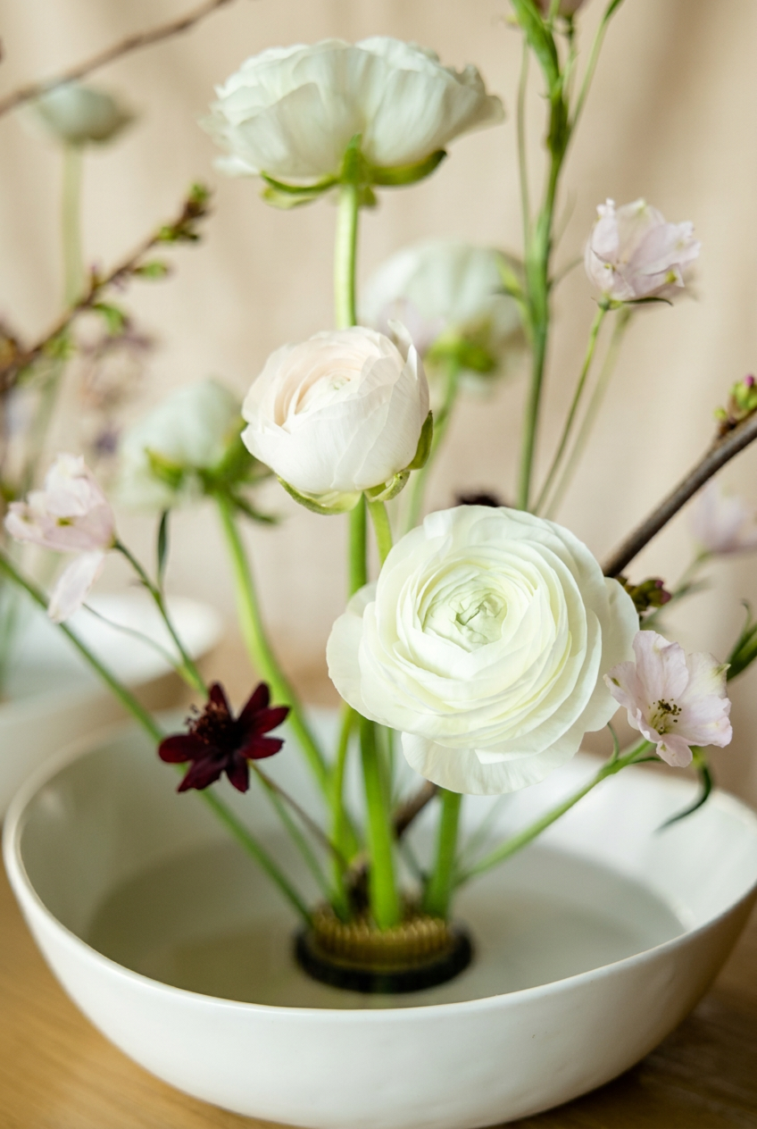 White ranunculus, cherry blossom and chocolate cosmos in a shallow ikebana bowl