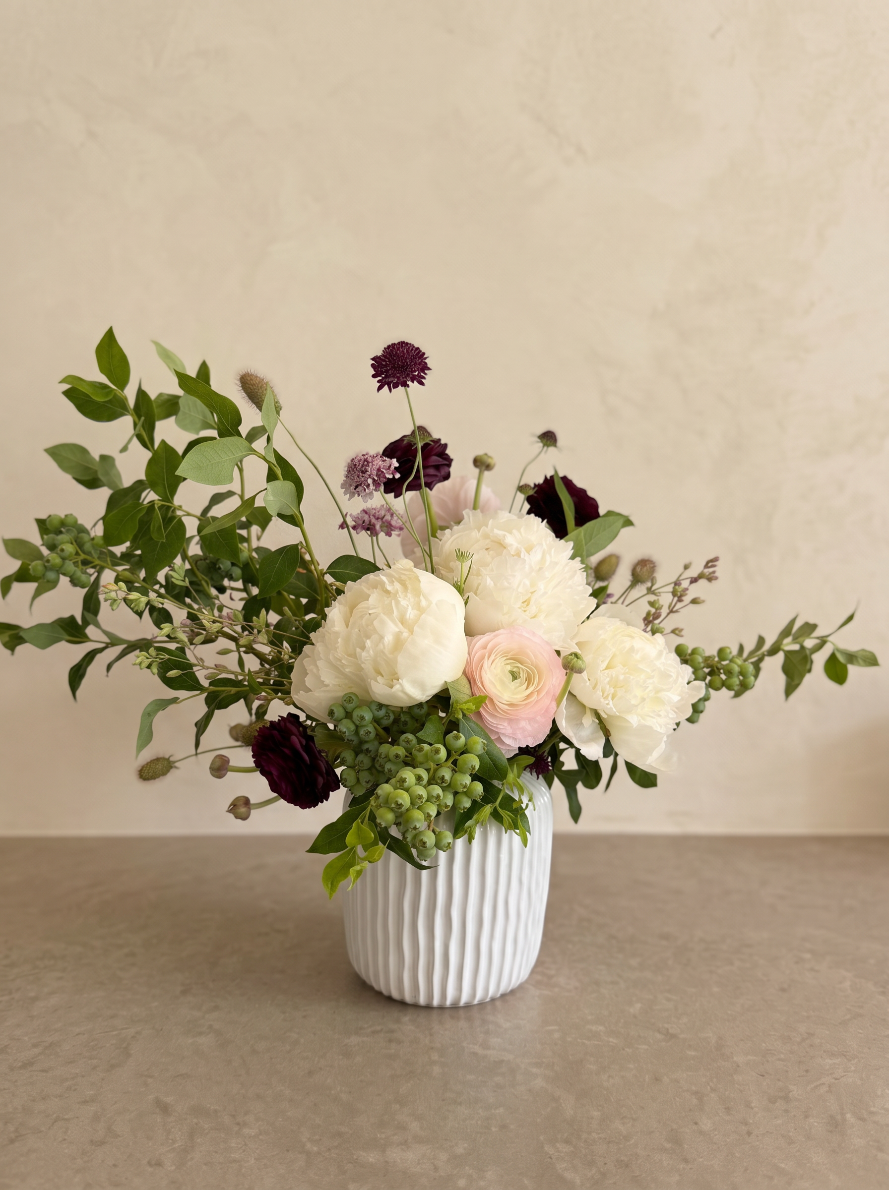 Cream peonies, blush ranunculus and blueberry branches in a fluted white vase